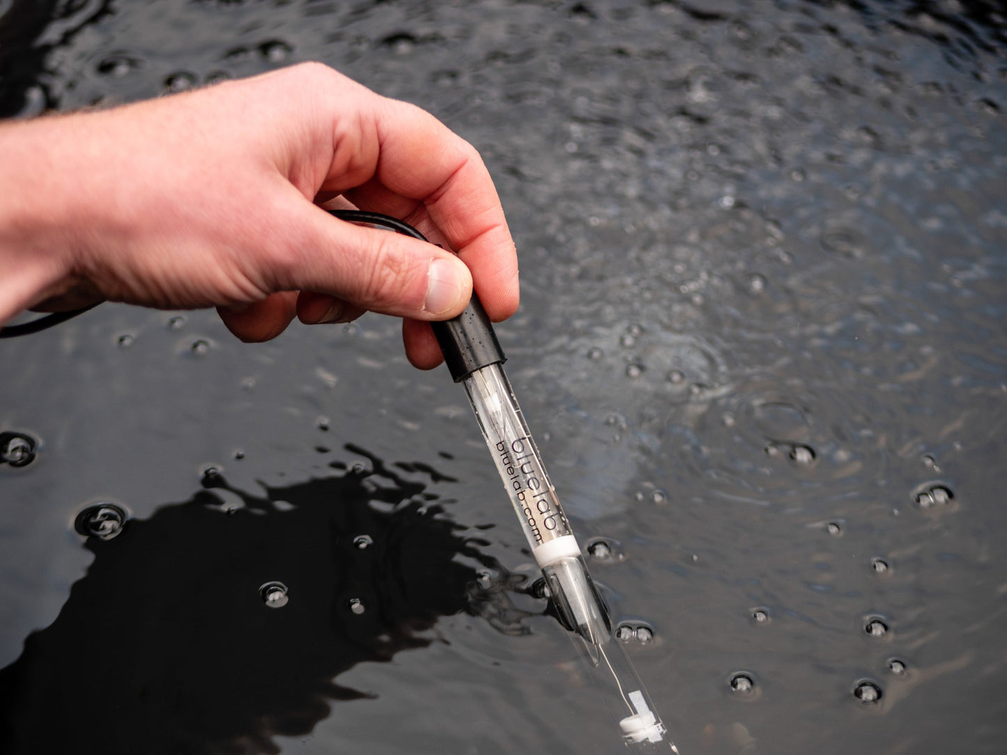 Bluelab - pH Probe