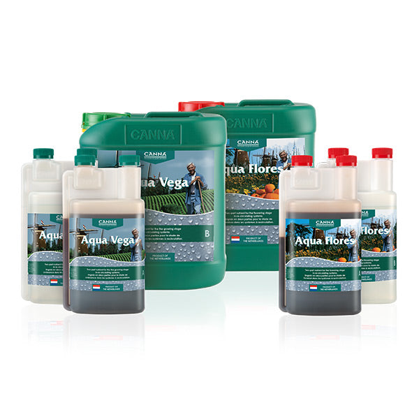CANNA - Aqua Flores B