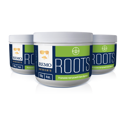 REMO® - Remo Roots 4oz