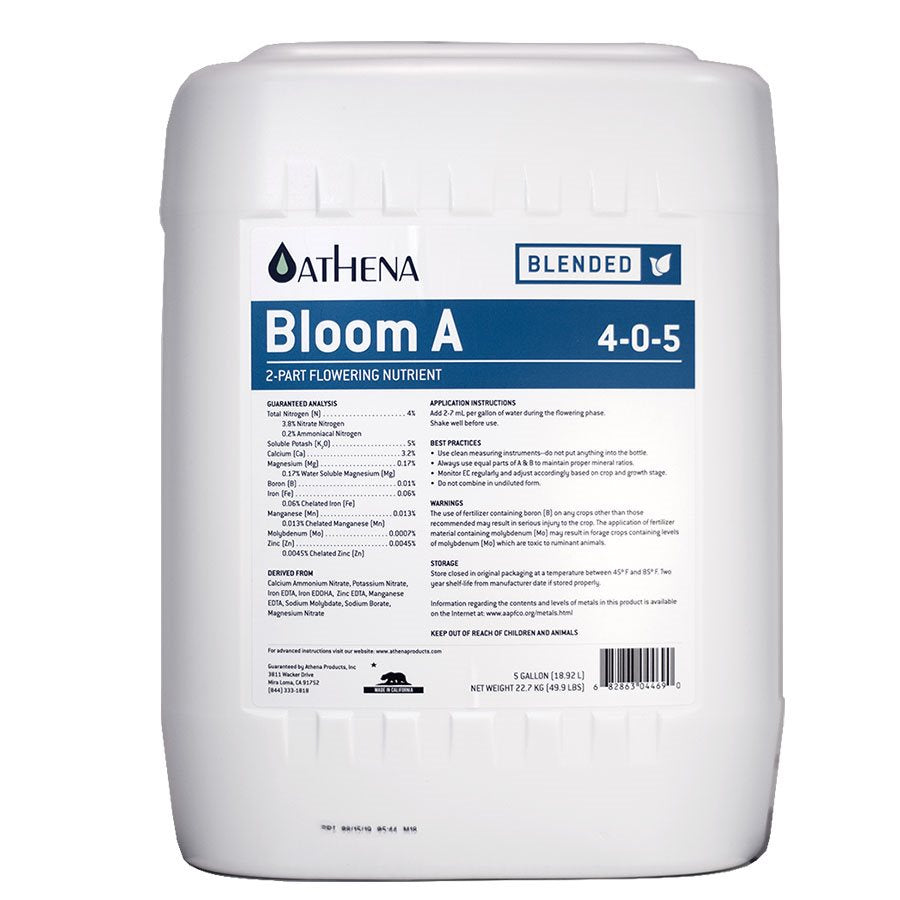 ATHENA - Bloom A