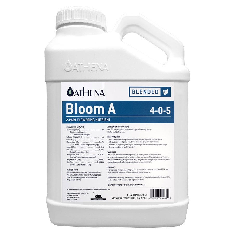 ATHENA - Bloom A