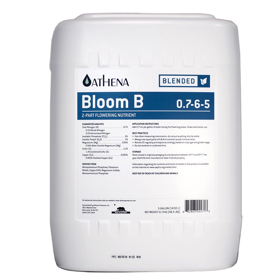ATHENA - Bloom B