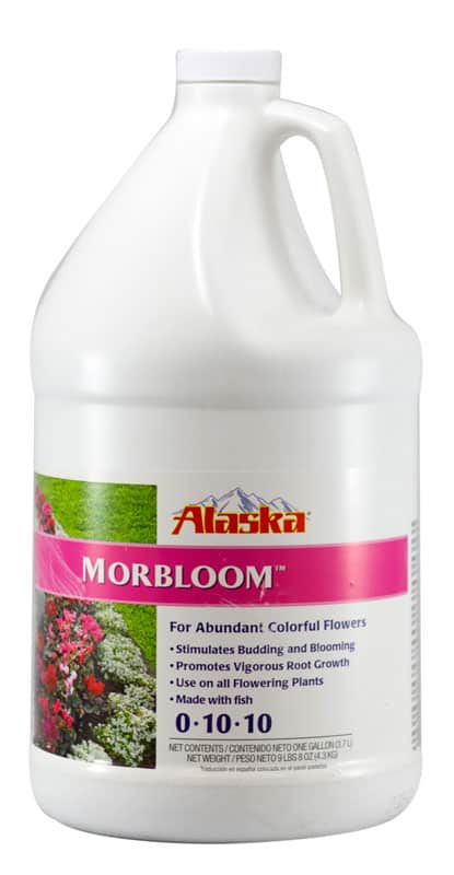 Alaska - MorBloom