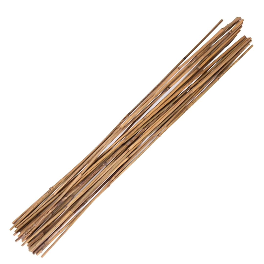 Bamboo Stakes - Many sizes available
