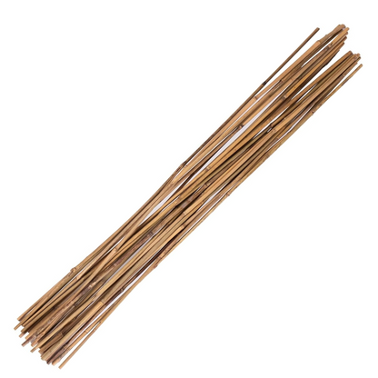 Bamboo Stakes - Many sizes available