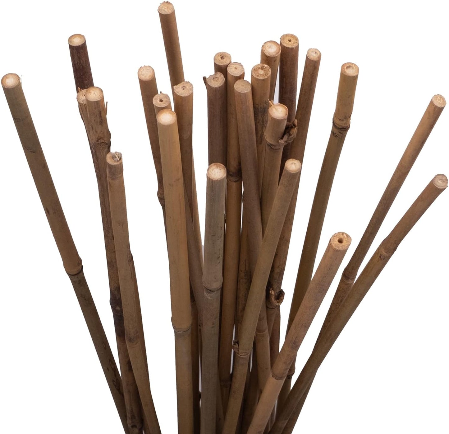 Bamboo Stakes - Many sizes available