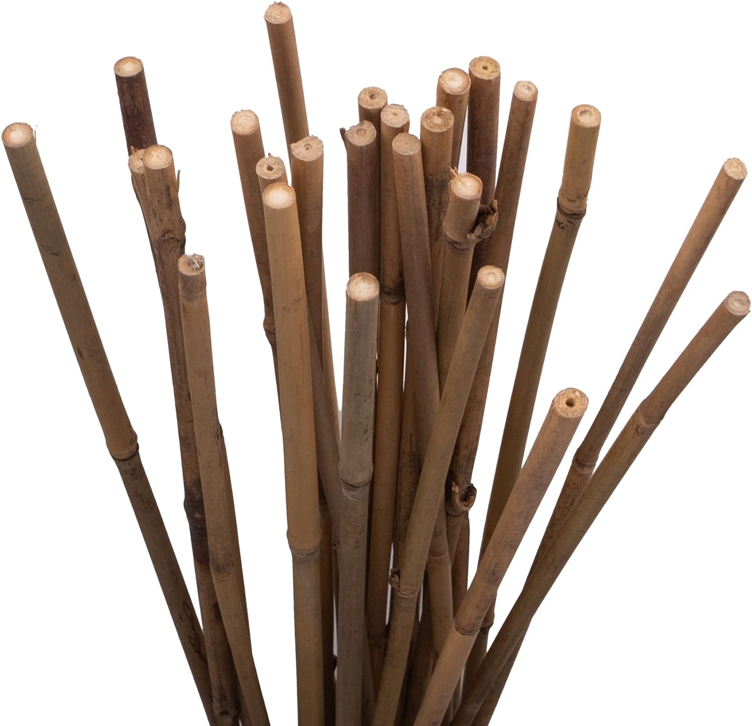 Bamboo Stakes - Many sizes available