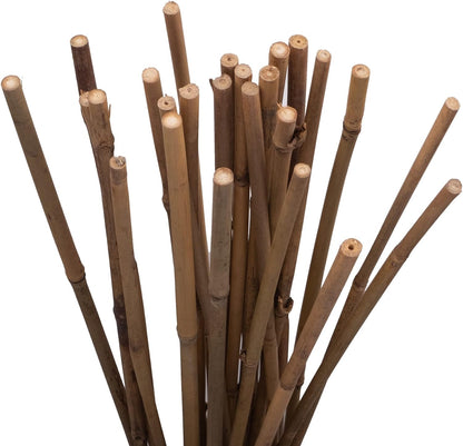 Bamboo Stakes - Many sizes available