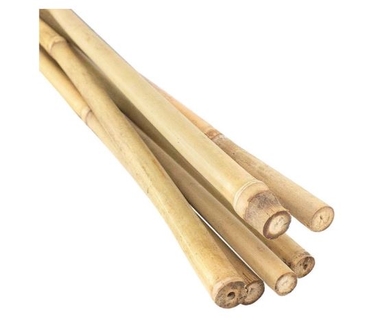 Bamboo Stakes - Many sizes available