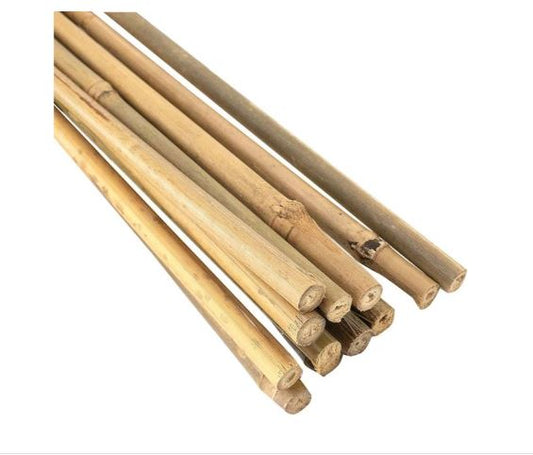 Bamboo Stakes - Many sizes available