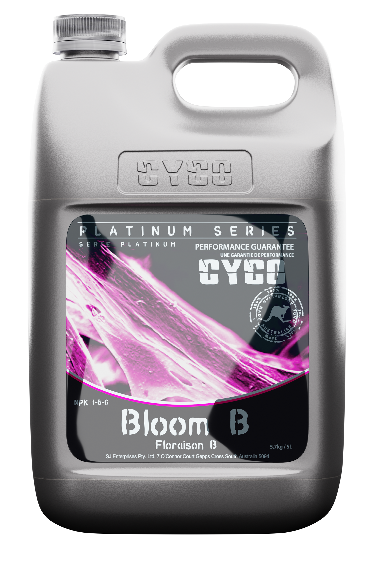 Cyco - Bloom A