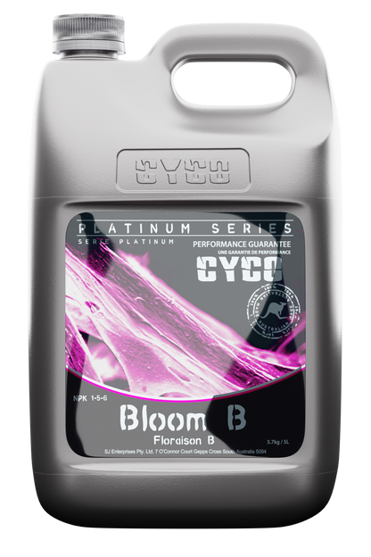Cyco - Bloom B