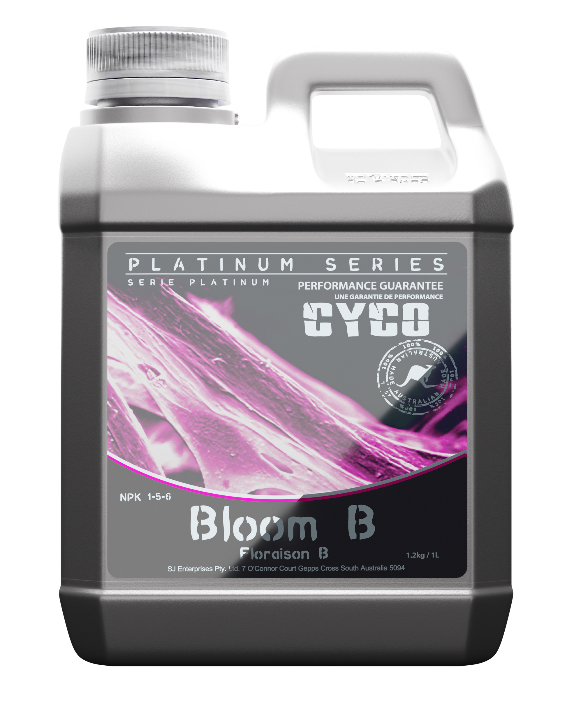 Cyco - Bloom B