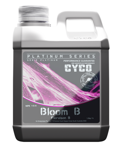 Cyco - Bloom B