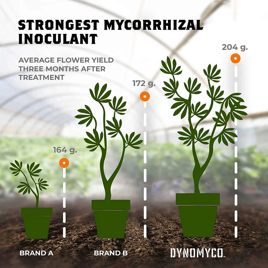 DYNOMYCO ™ - Premium Mycorrhizal