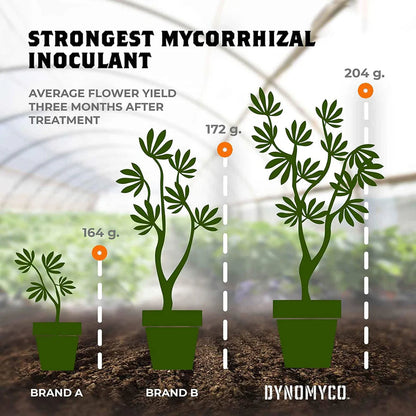 DYNOMYCO ™ - Premium Mycorrhizal