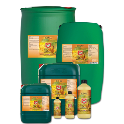 House & Garden - Bud-XL