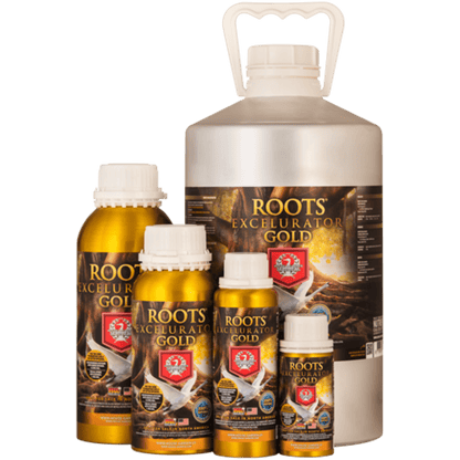 House & Garden - Roots Excelurator Gold