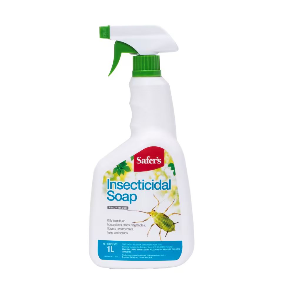 Safer's® Ready-to-Use Insecticidal Soap (1L)