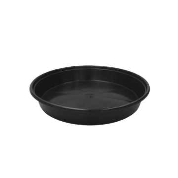 Saucer No Lip