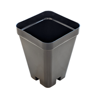 Square Plant Pot 6×6