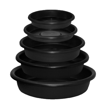 Super Saucer with Lip